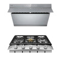 30 Inch Cooktop and 30 Inch 850 CFM Range Hood D5450
