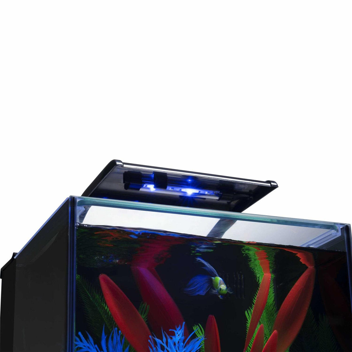 3 Gallons Aquarium Kit with LED Lighting and Filter T523