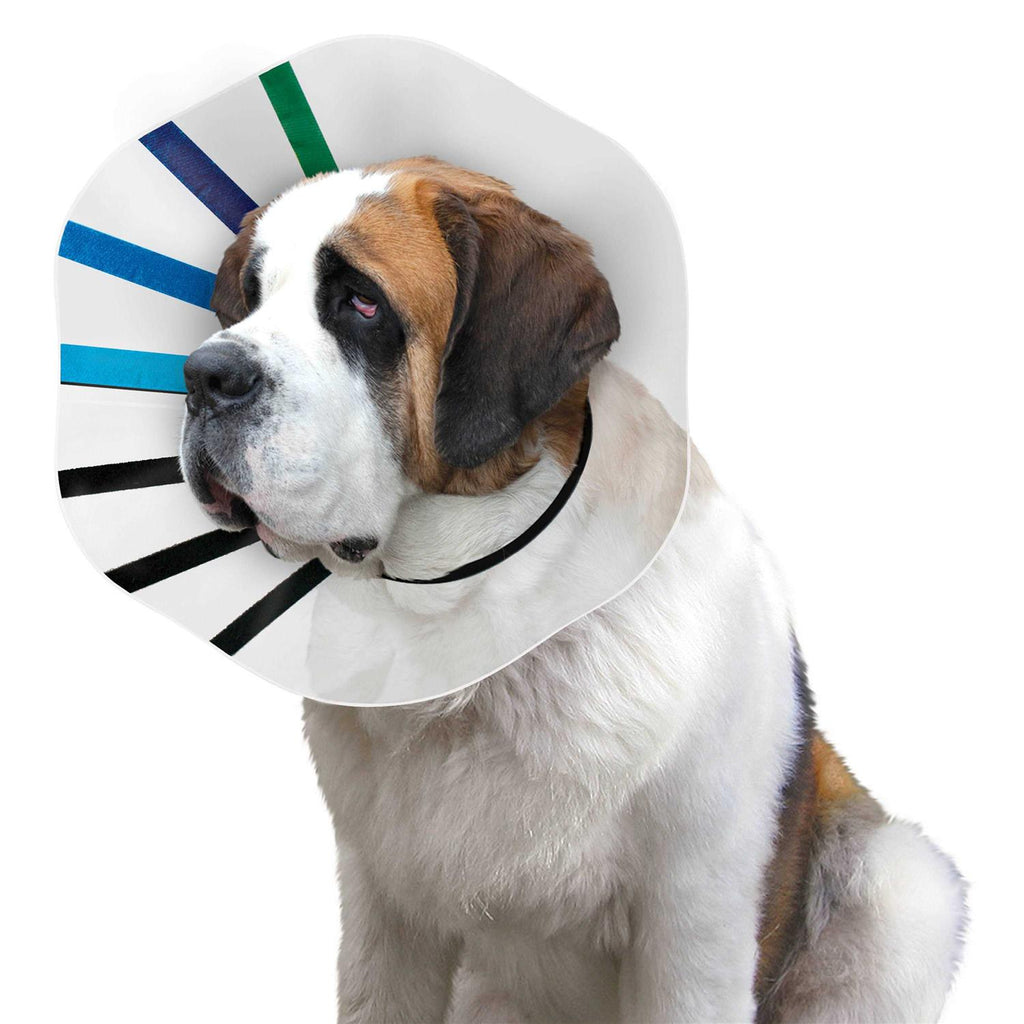 Clear Collar D16279