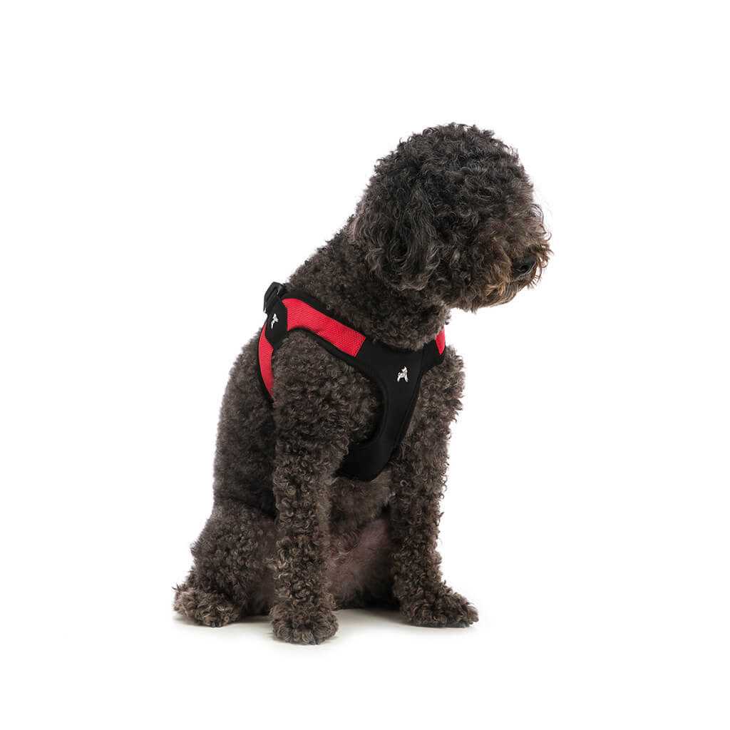 Dog Harness S31625