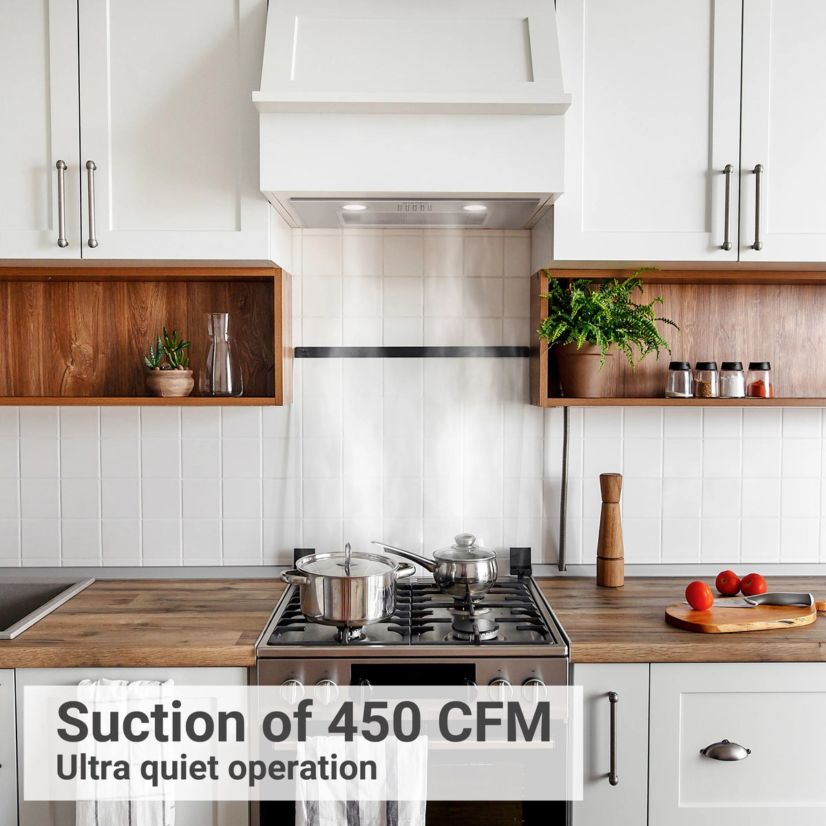 20 inch 450 CFM Stainless Steel Insert Range Hood X1408