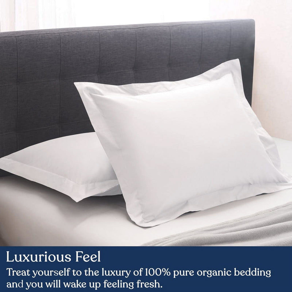 Euro Sham Pack of 2, 100% Organic Cotton, 400 Thread Count C15504