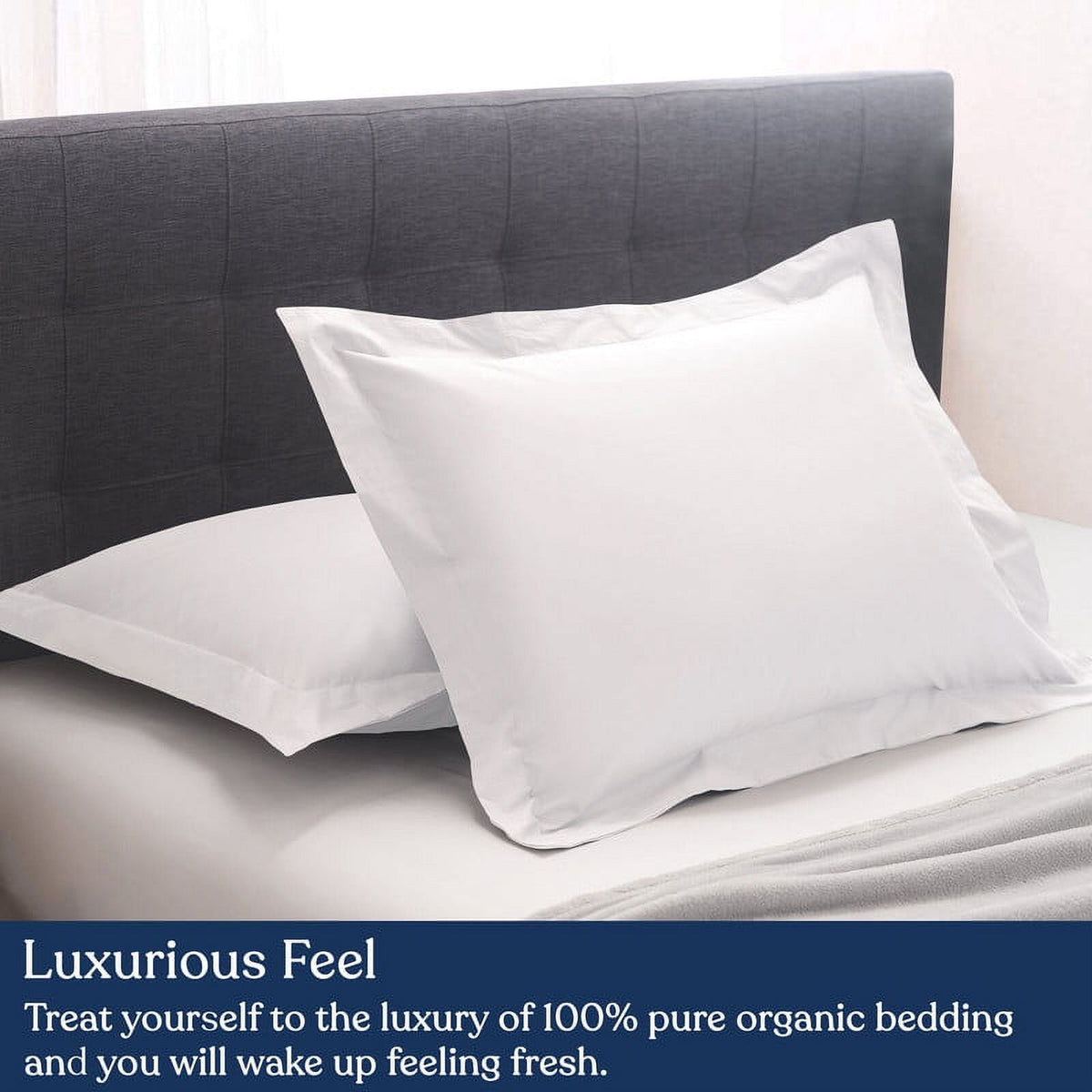 Euro Sham Pack of 2, 100% Organic Cotton, 400 Thread Count C15504
