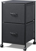 Black 2 Drawer Mobile File Cabinet P75872