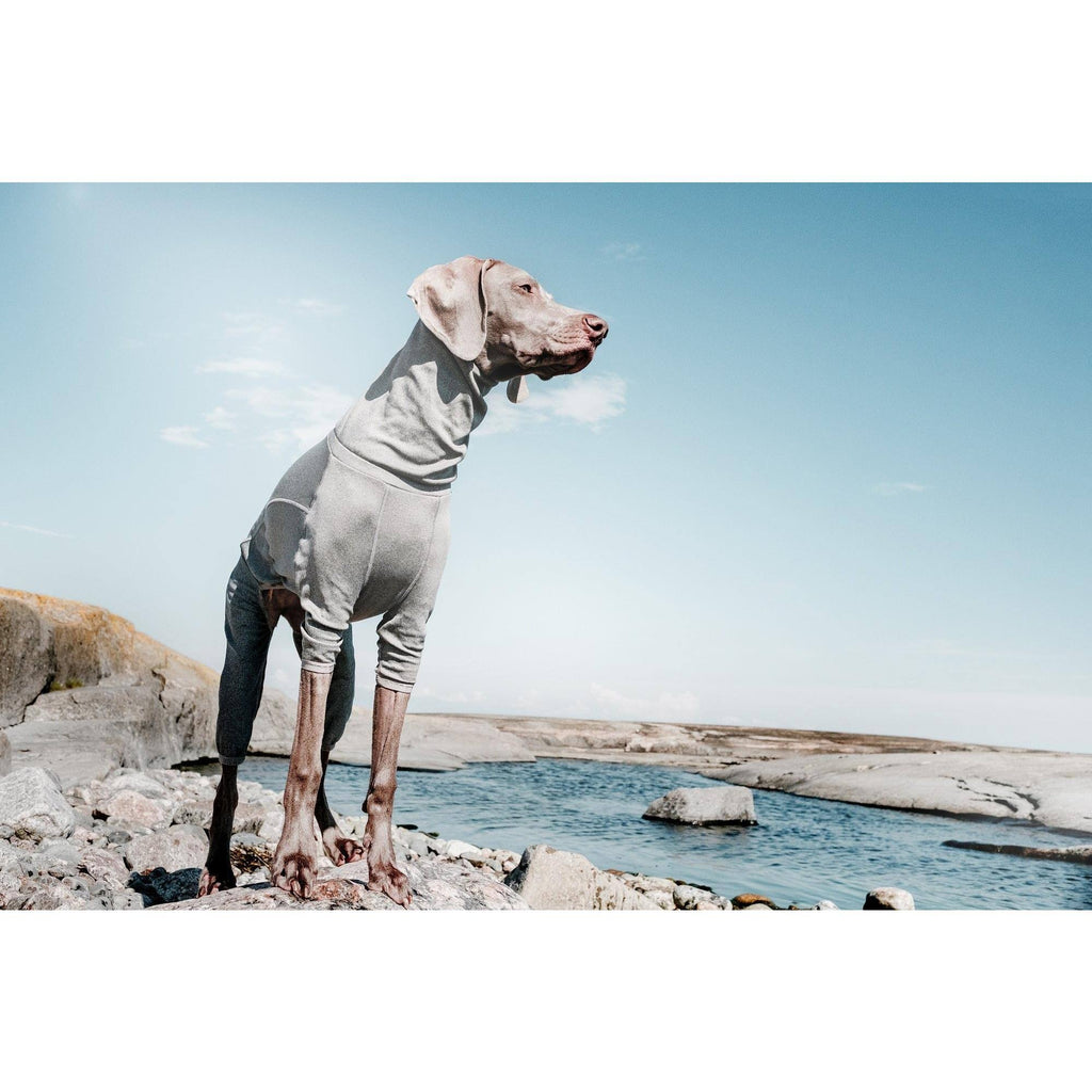 Carbon Grey Dog Body Warmer 24M K187519