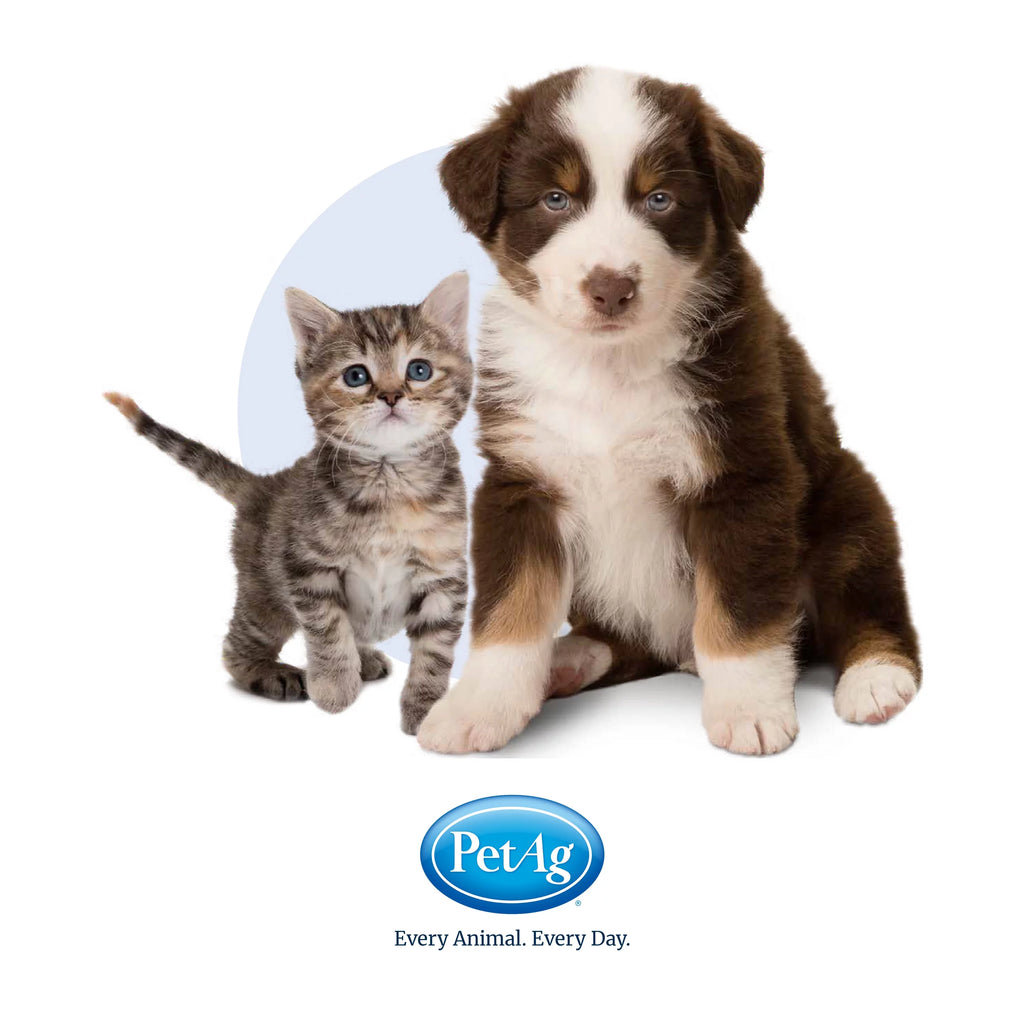 Puppy Weaning Dog Food F7378