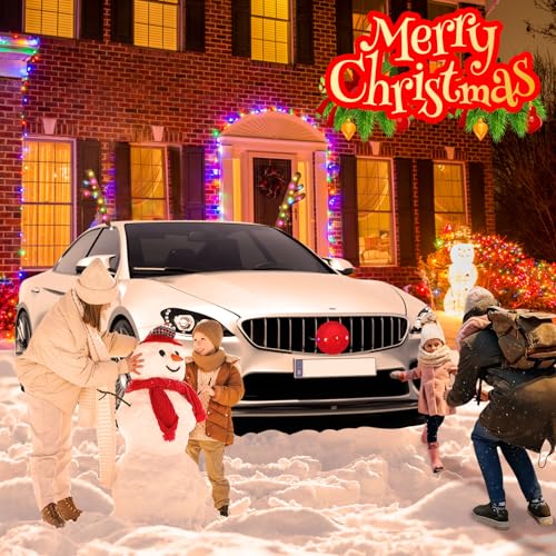 Christmas Reindeer Car Kit with LED I339