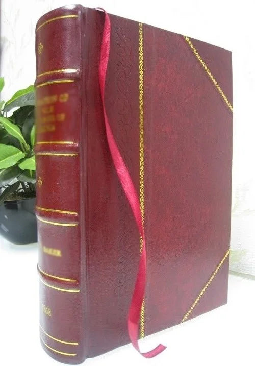 Leather B X16487