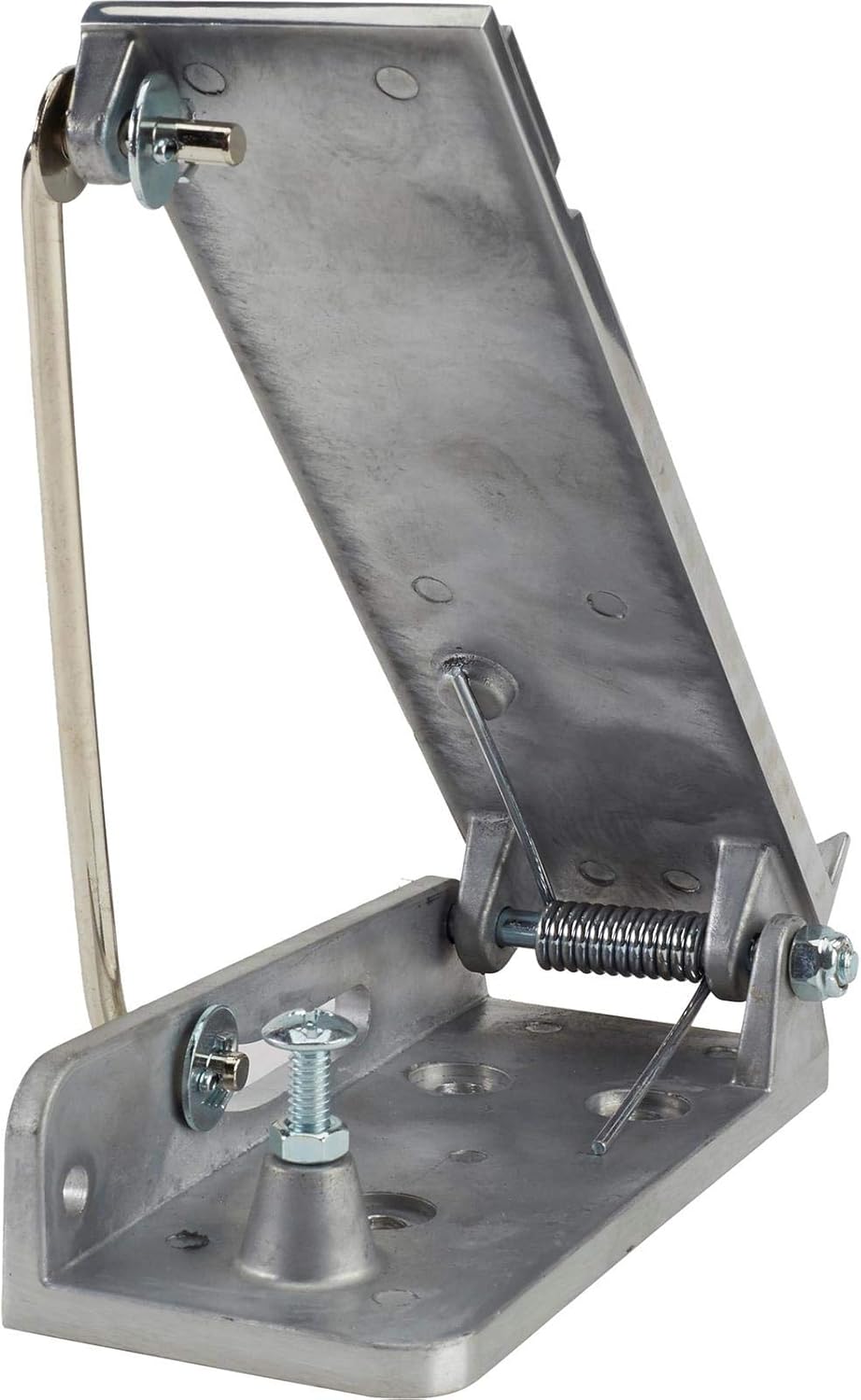 Cast Aluminum Accelerator Throttle Pedal Assembly Pack of 2 N482