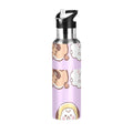 Stainless Steel Insulated Water Bottle with Straw Lid Q315