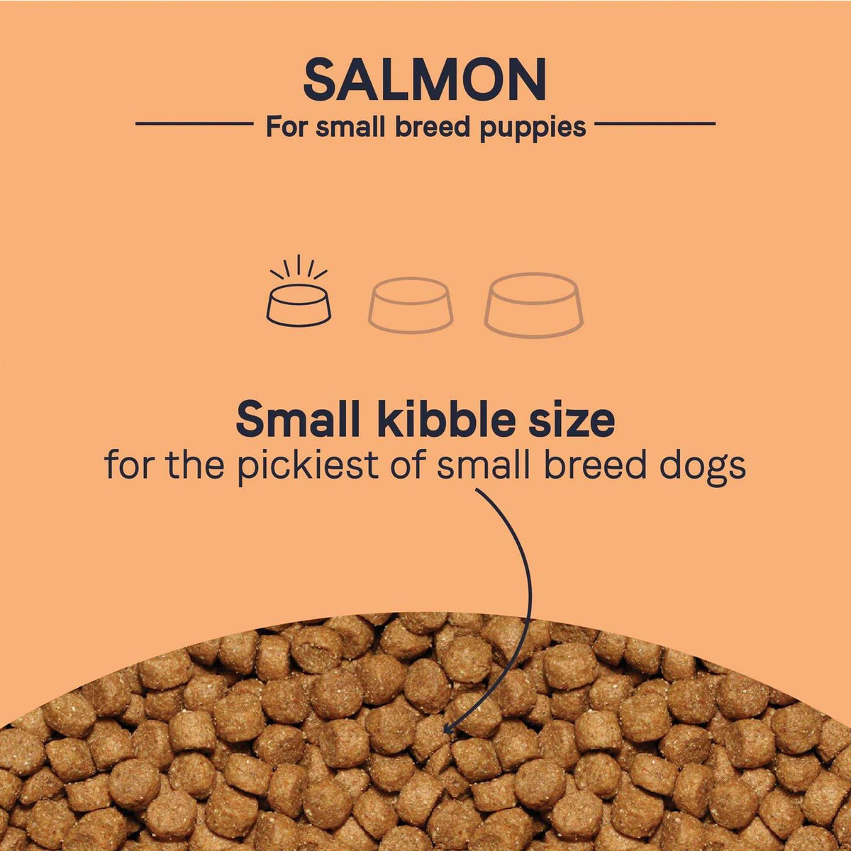 Salmon Small Breed Puppy Dry Dog Food G1620