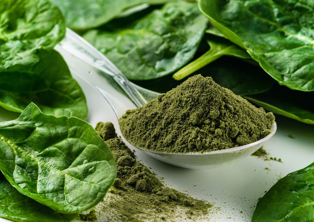 Organic Spinach Powder, 16 Pounds S90330