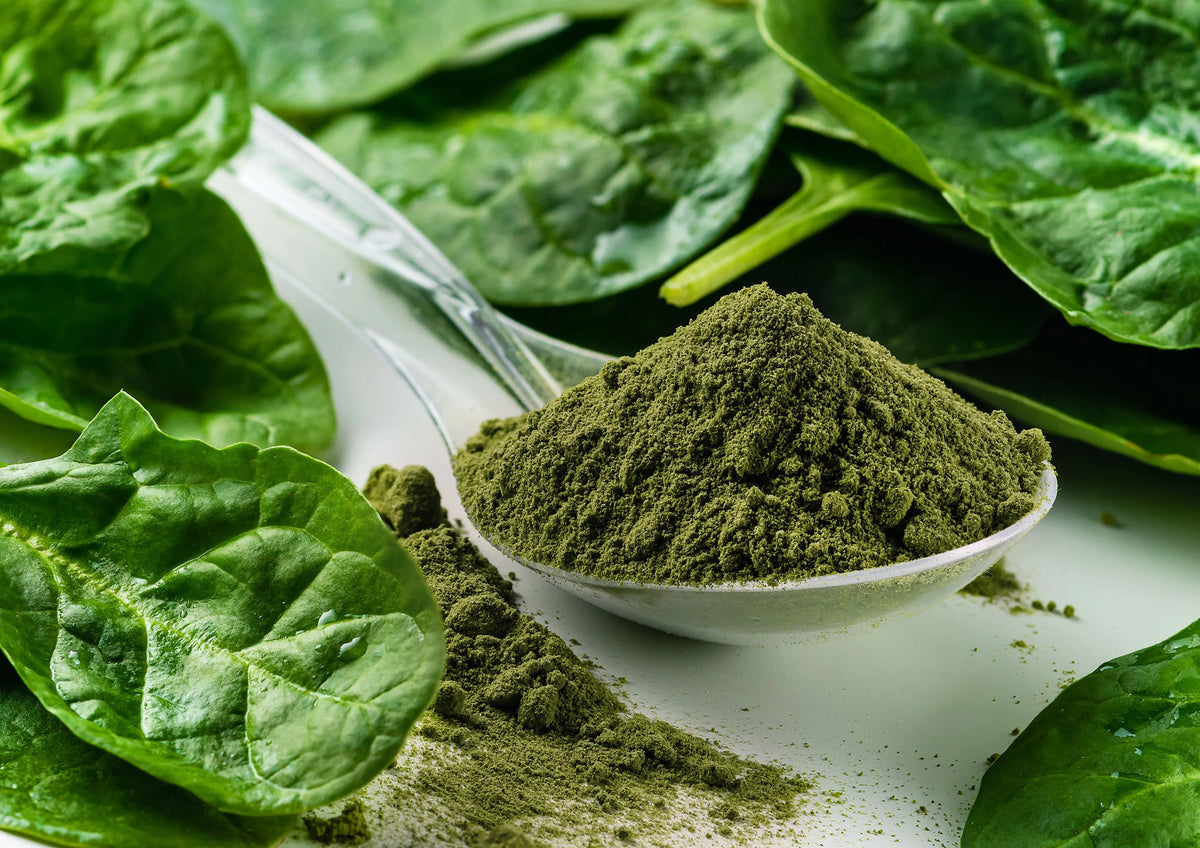 Organic Spinach Powder, 16 Pounds S90330
