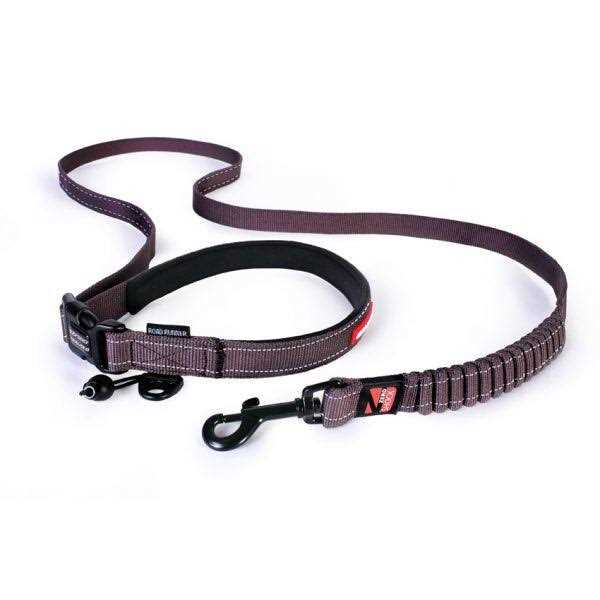 Road Runner Leash T1243