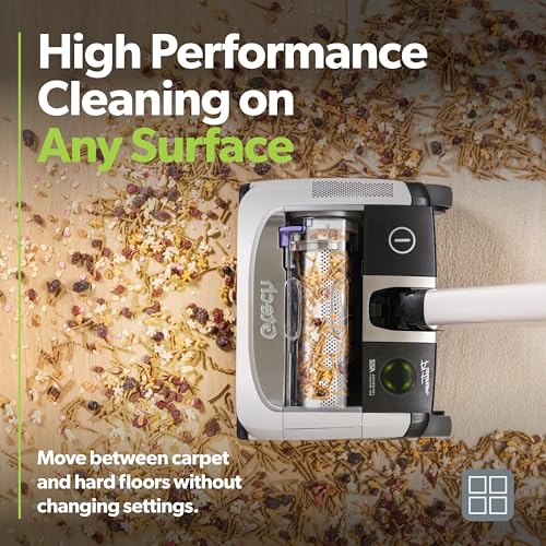 Cordless Vacuum Cleaner with Anti-Hair Wrap Brush Bar and Rechargeable 22v Li-ion Battery R1113