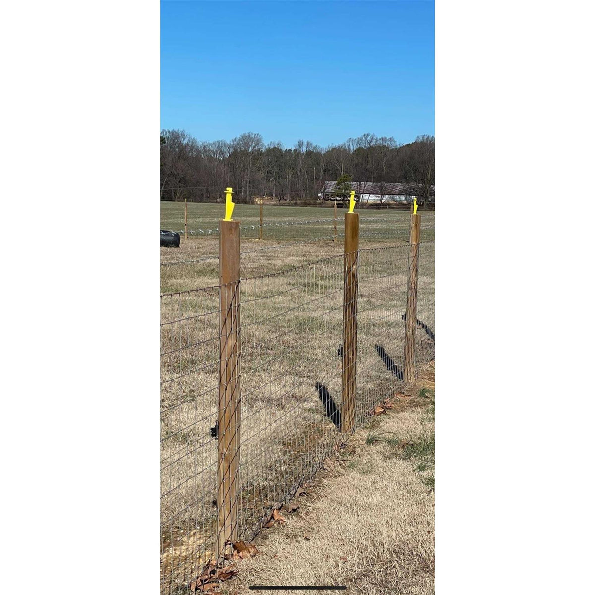 3-3/4-in x 8-ft Pressure Treated Pine Fence Post N1907