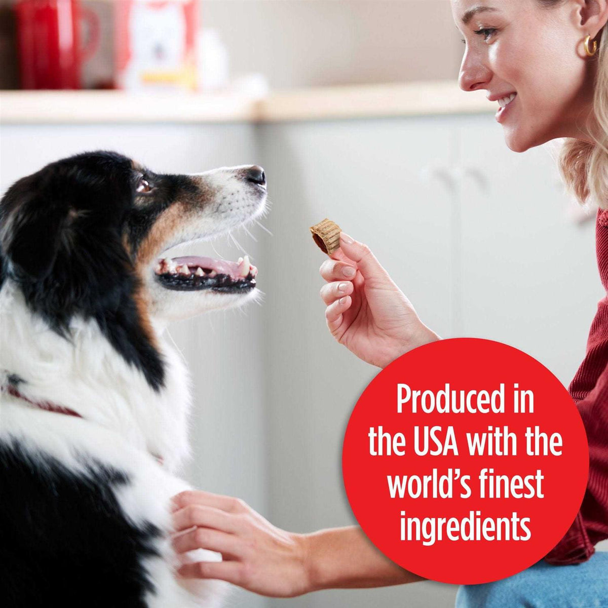 Bacon & Beef Dog Treats G45479