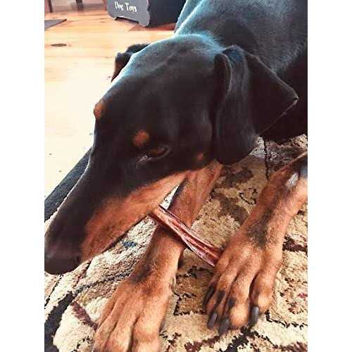Bully Sticks Dogs C241648