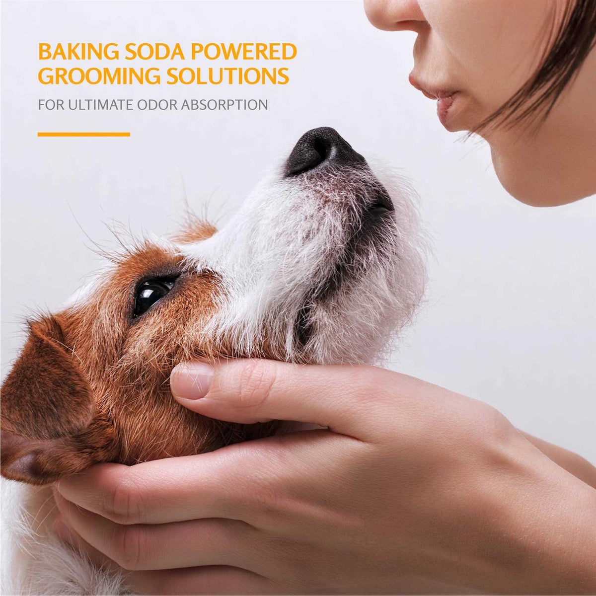 Deodorizing Pet Shampoo Z242