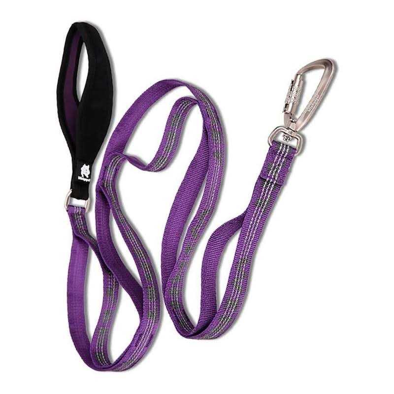 Heavy Duty Dog Leash T371772