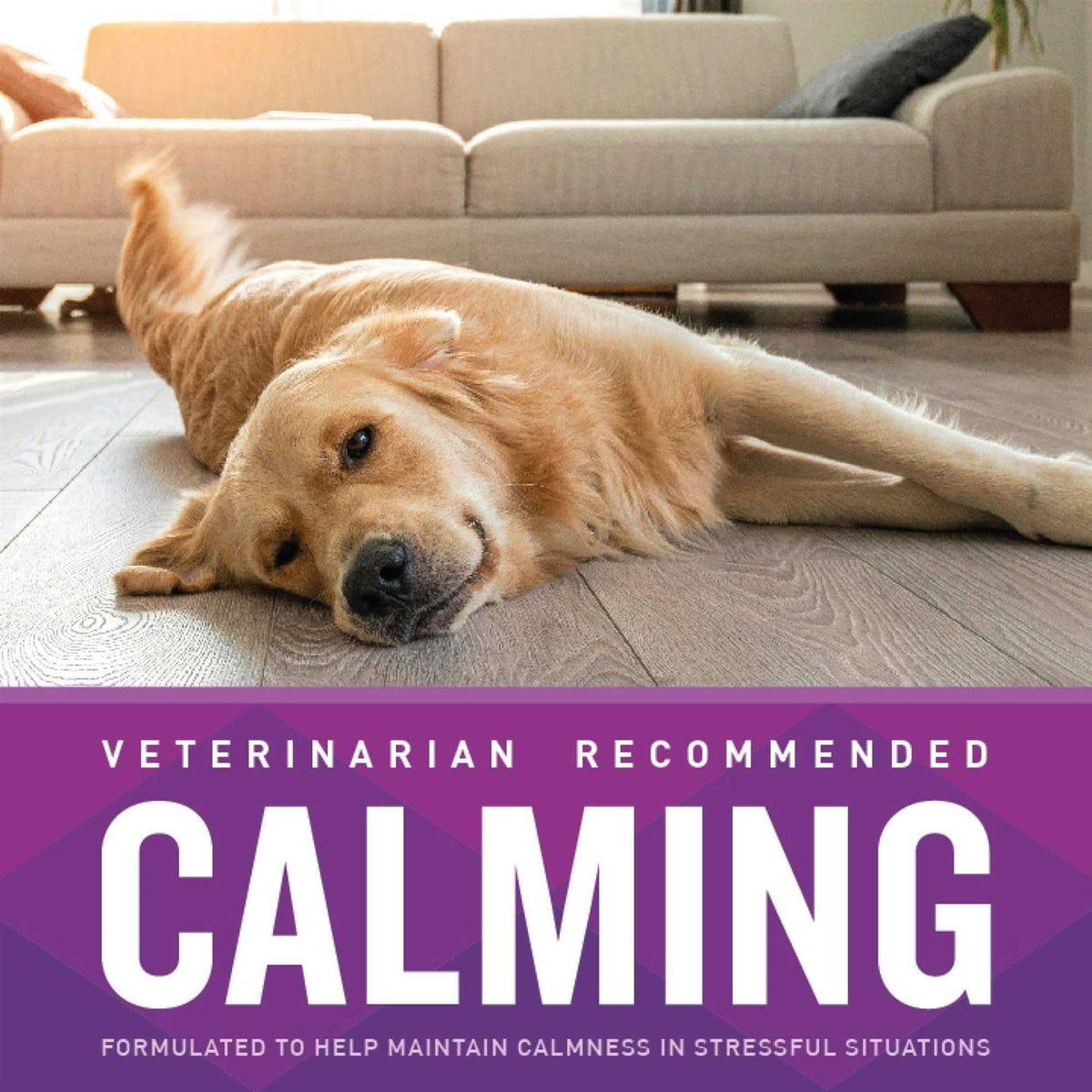 Calming Soft Chews V855859