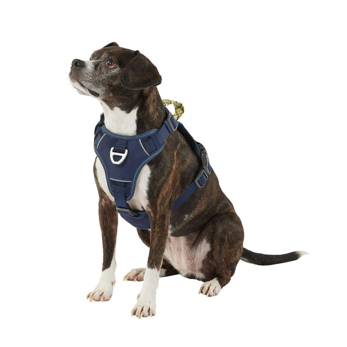 Navy Quick-Dry Dog Harness D771238