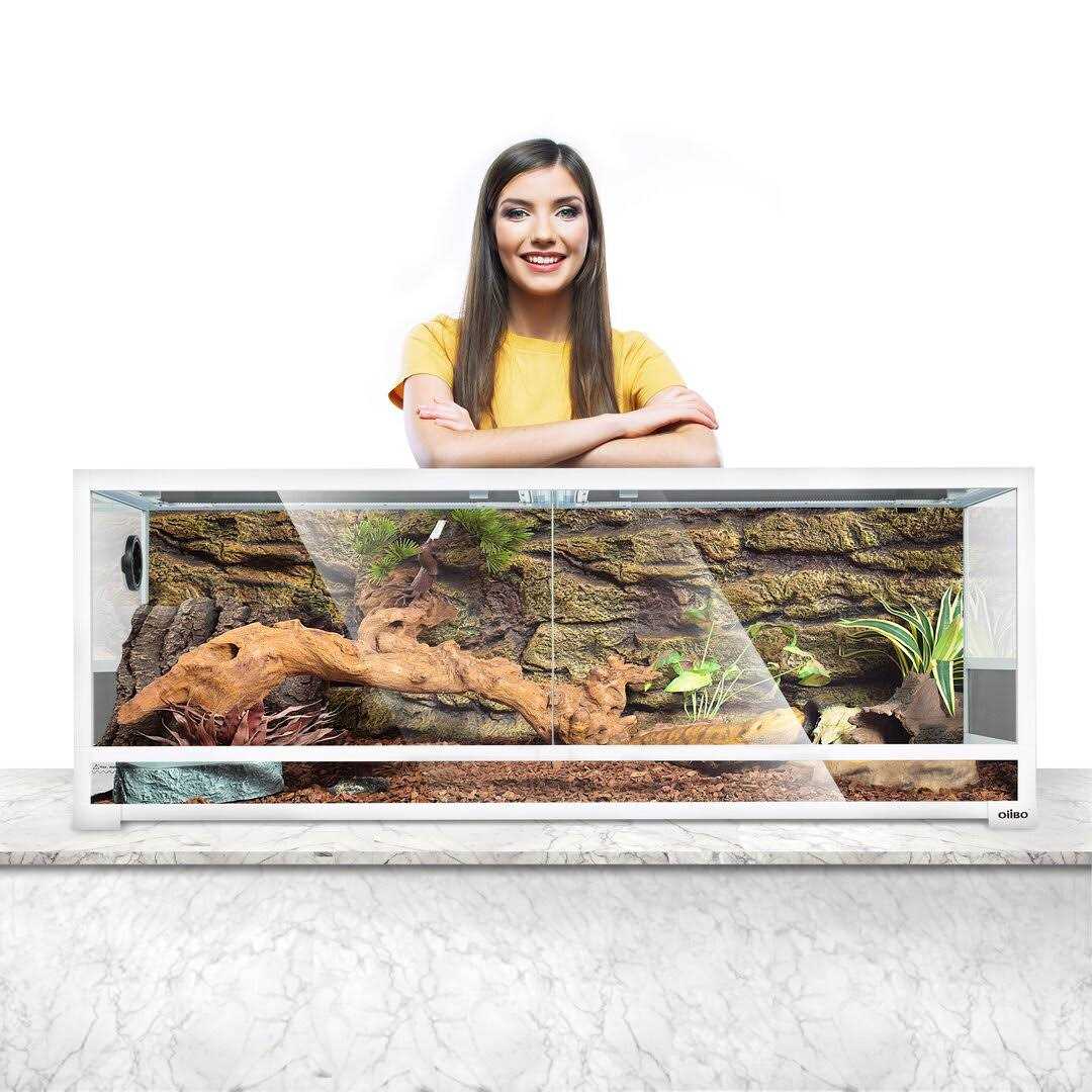 64 Gallon Terrarium Q76208