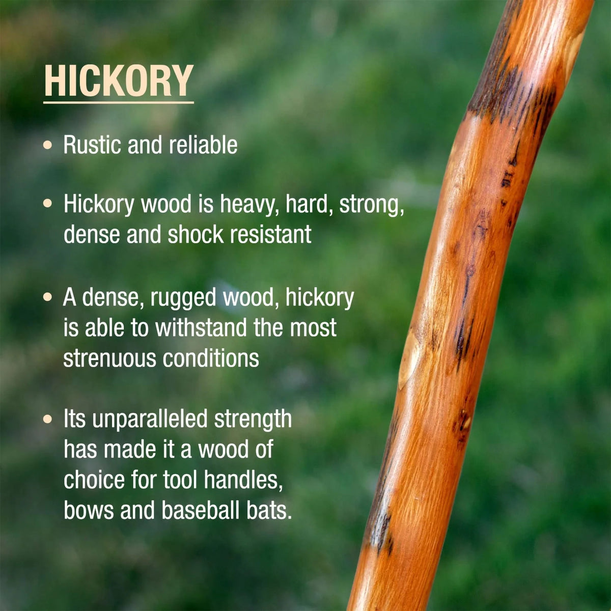 Hickory Wood Walking Stick, 55" X40982