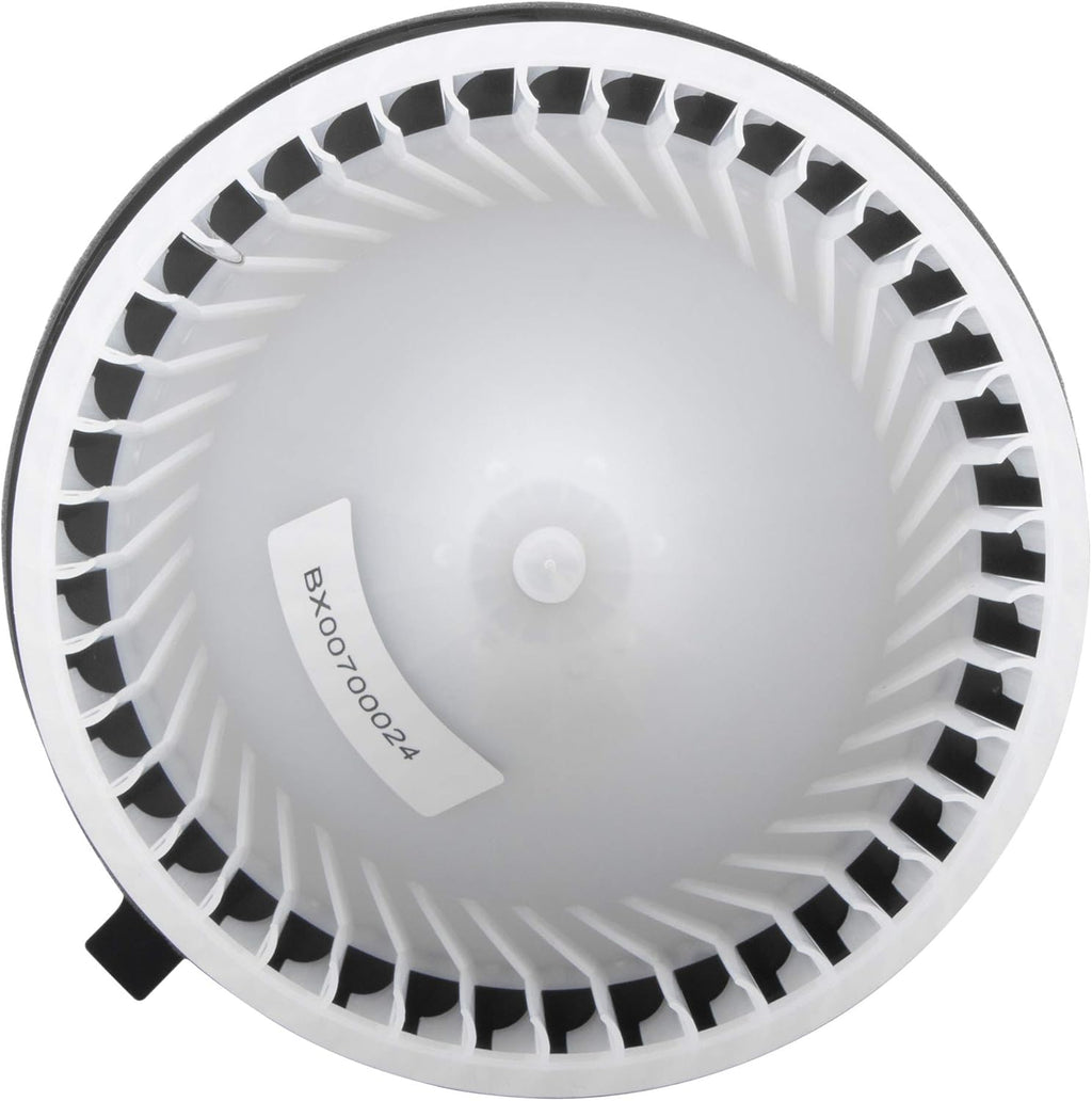 Heater Blower Motor with Fan Cage Pack of 2 O959
