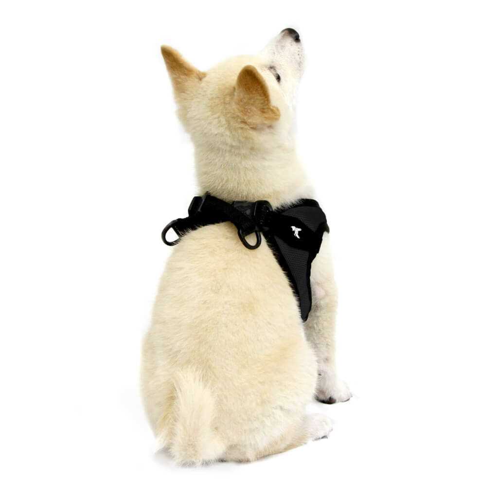 Dog Harness S31625