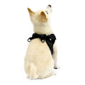 Dog Harness S31625