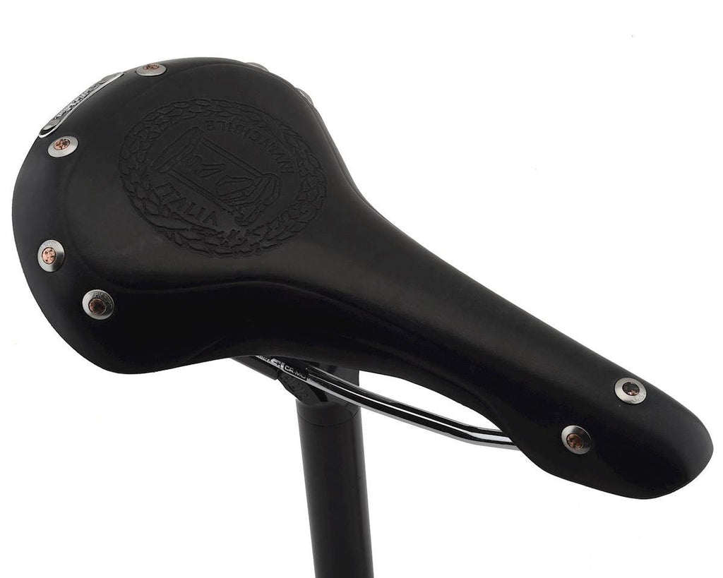 Black Saddle G589336