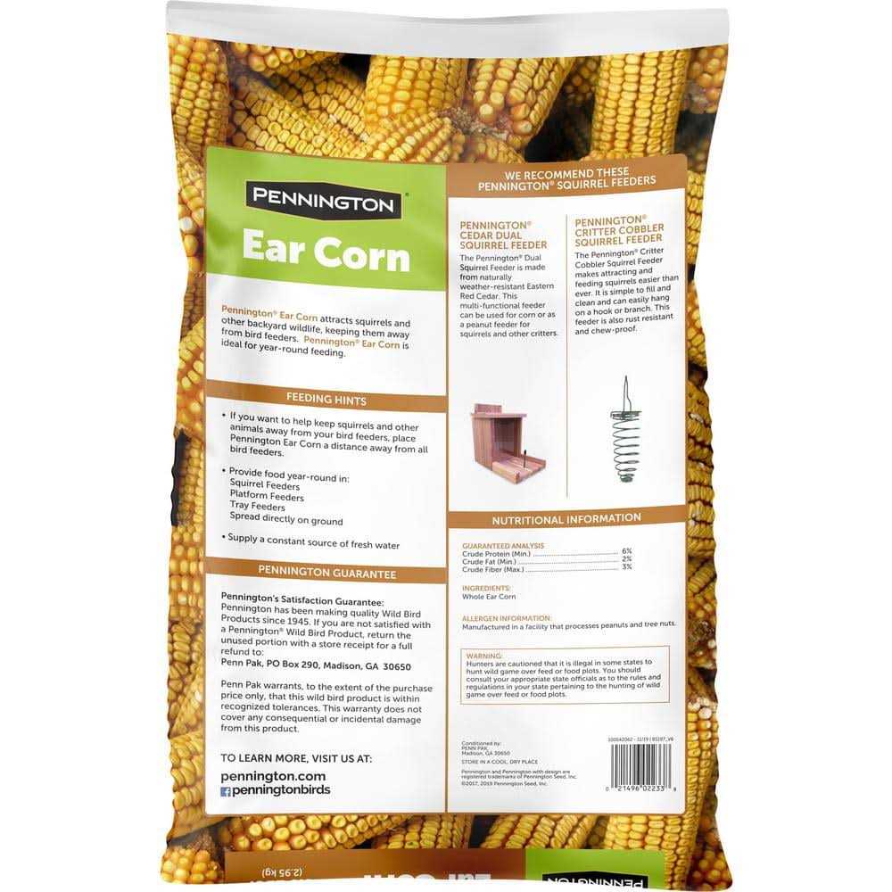 Squirrels Ear Corn Cobs Z431