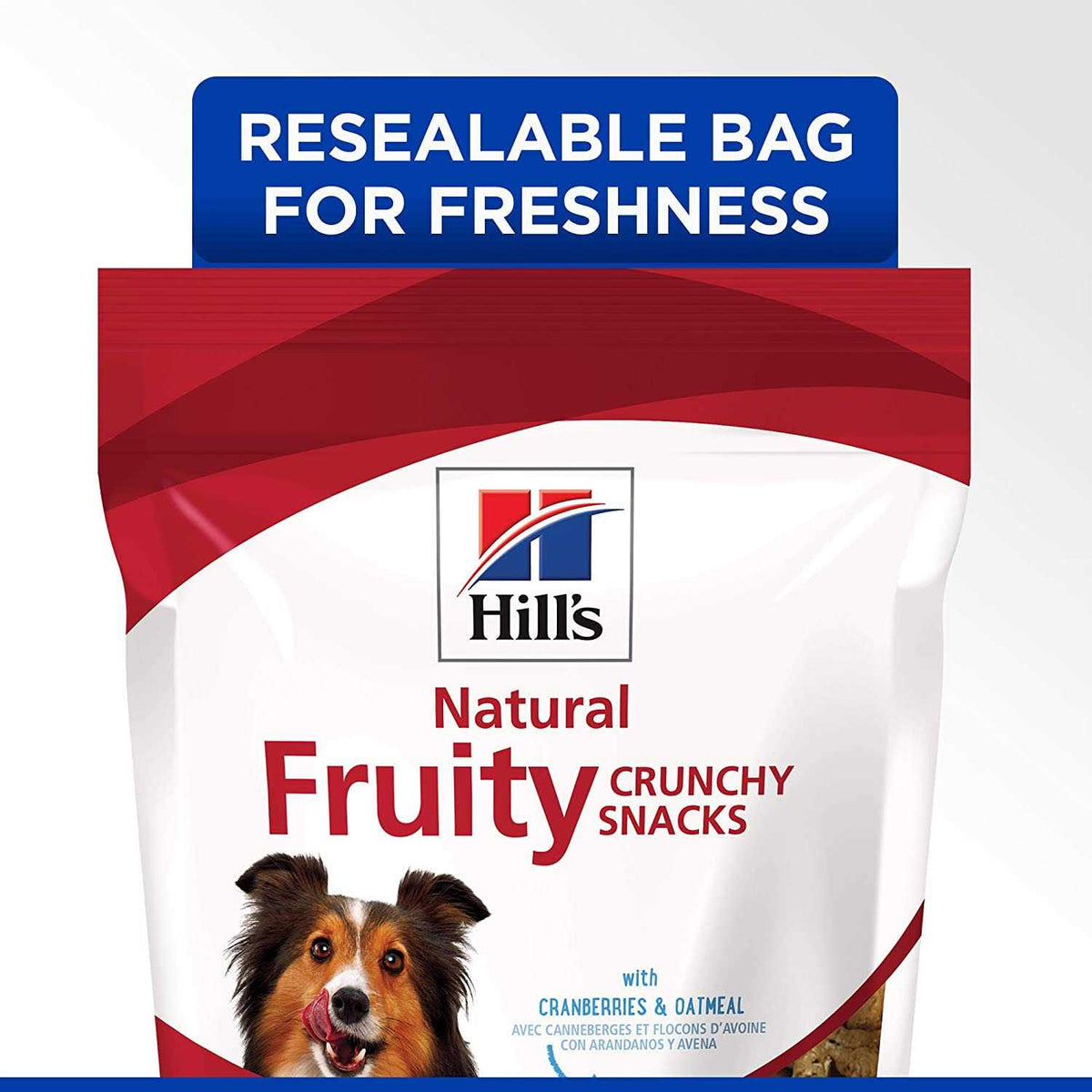 Oatmeal Dog Treats Y7577