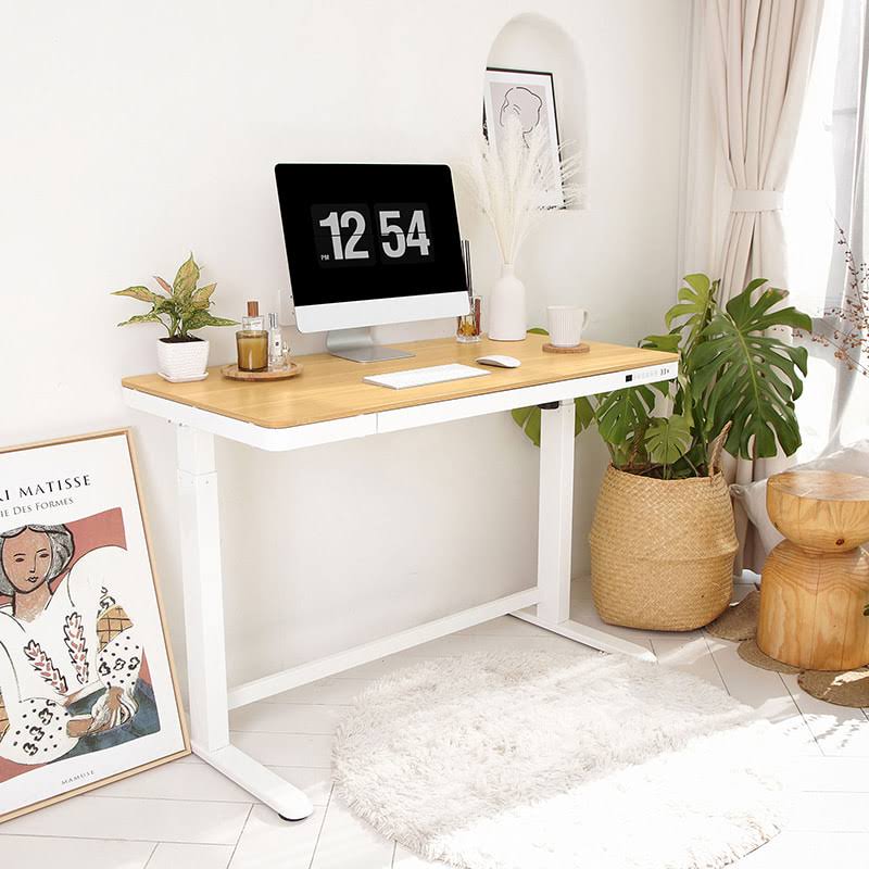 Electric Height Adjustable Standing Desk with Drawer 48 x 24 Inches Red Oak Desktop White Frame U895