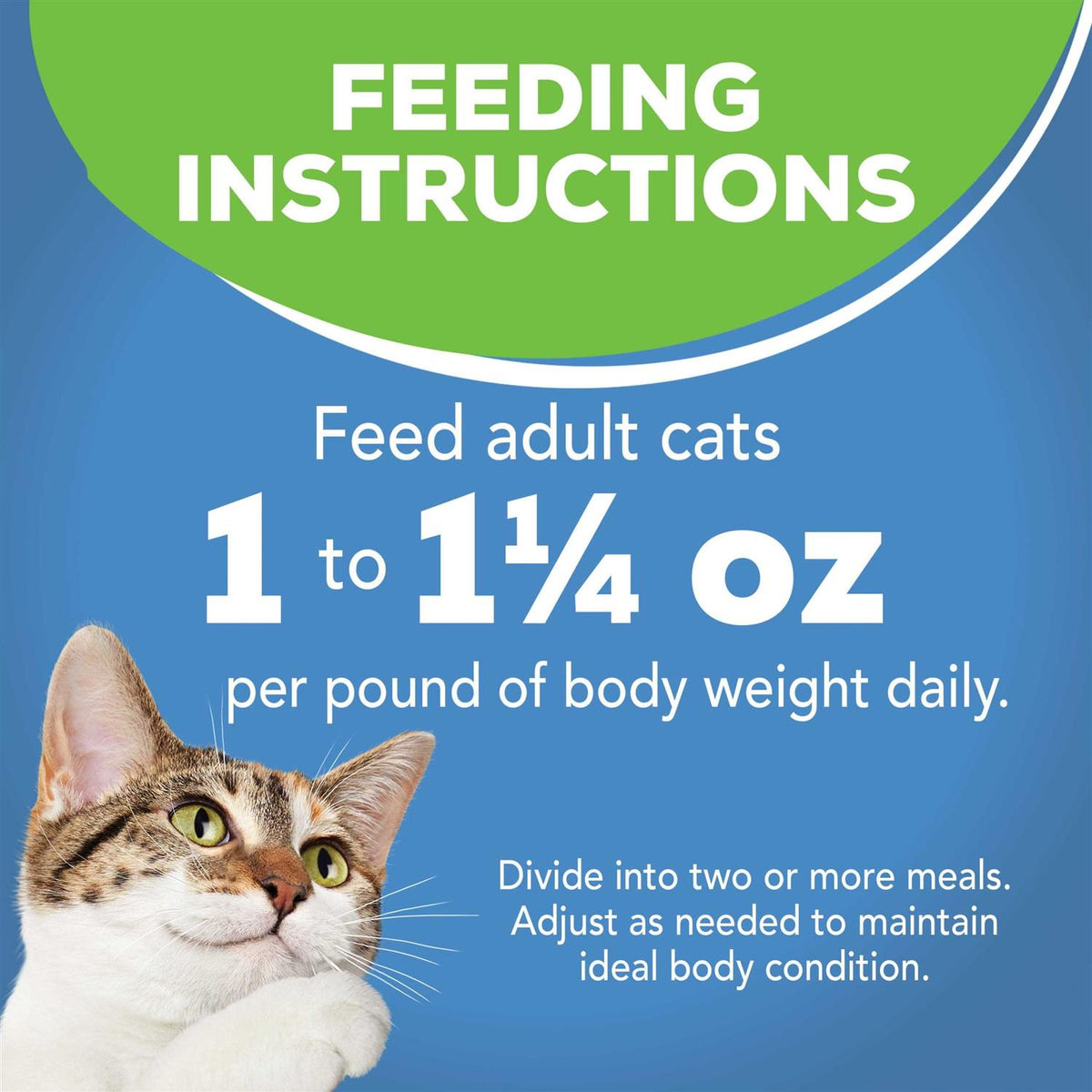 Ocean Whitefish Canned Cat Food Y422