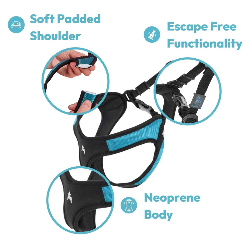 Dog Harness S31625