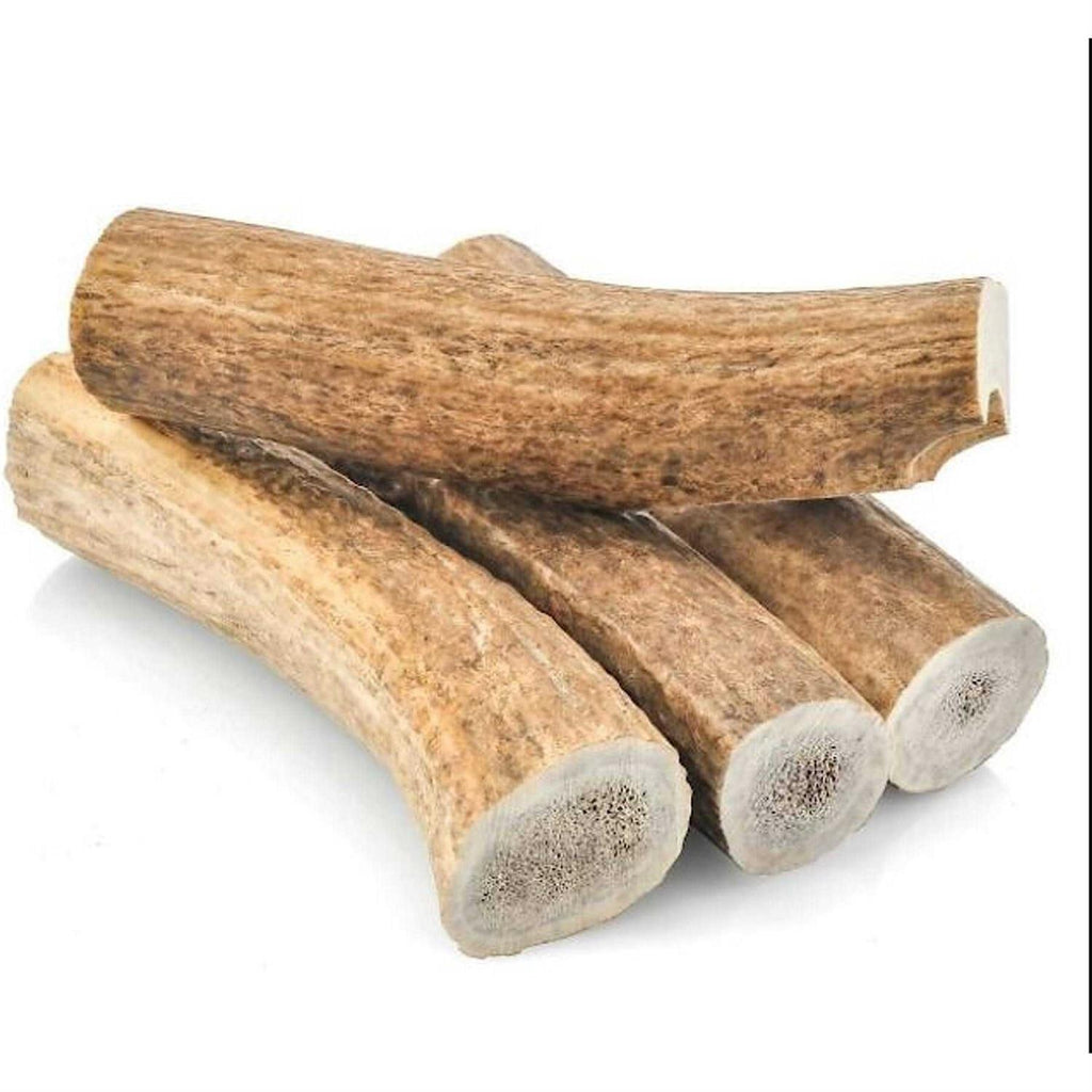 All Natural Large Whole Elk Antler Dog Chew G654269