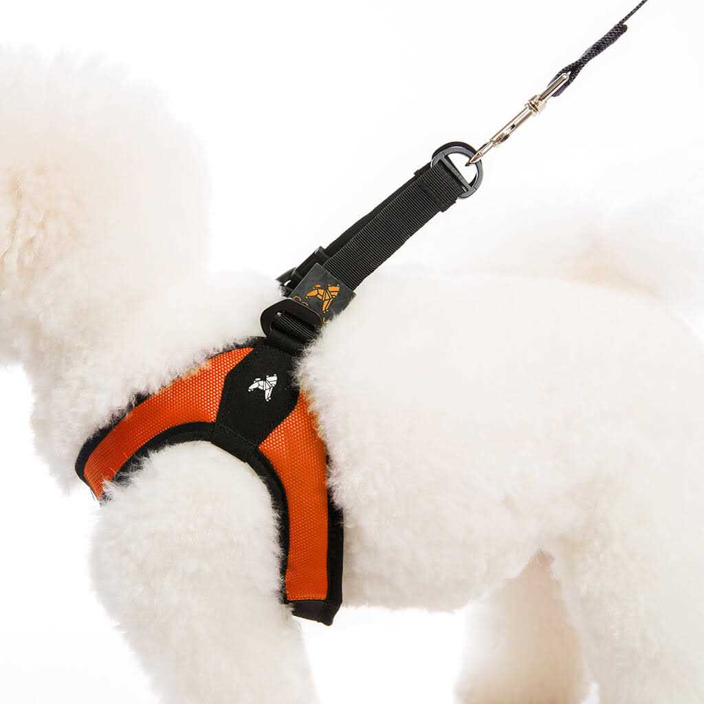Dog Harness S31625