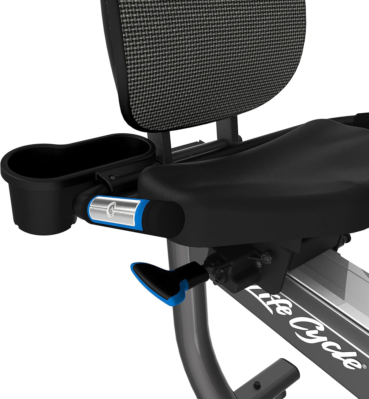 Recumbent Indoor Cycling Exercise Bike with Go Console M23100