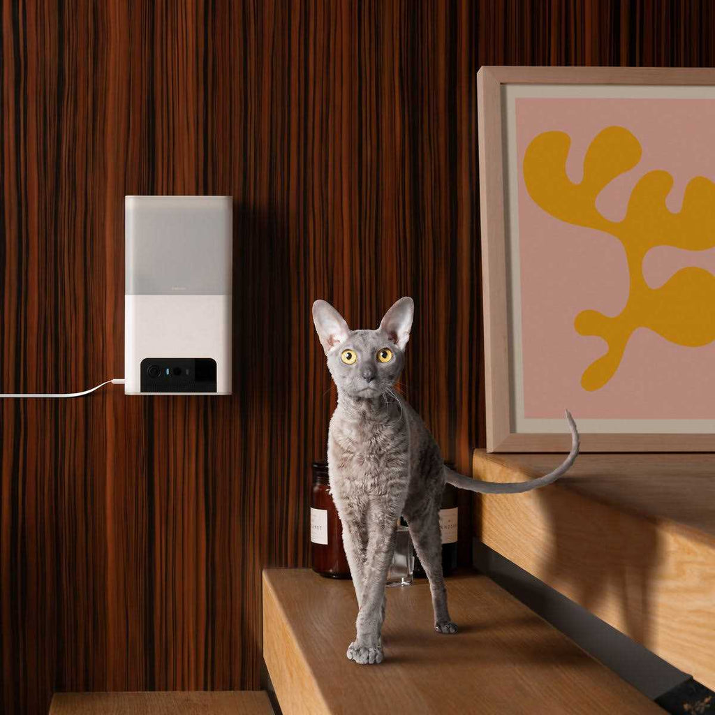 Interactive WiFi Pet Monitoring Camera with Treat Dispenser D781