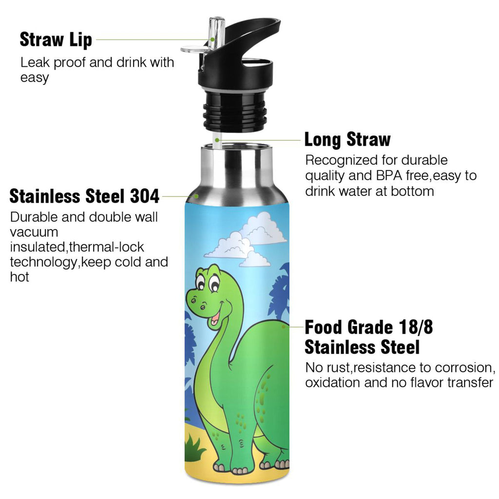 Stainless Steel Vacuum Insulated Water Bottle with Straw Lid 20 OZ I828448