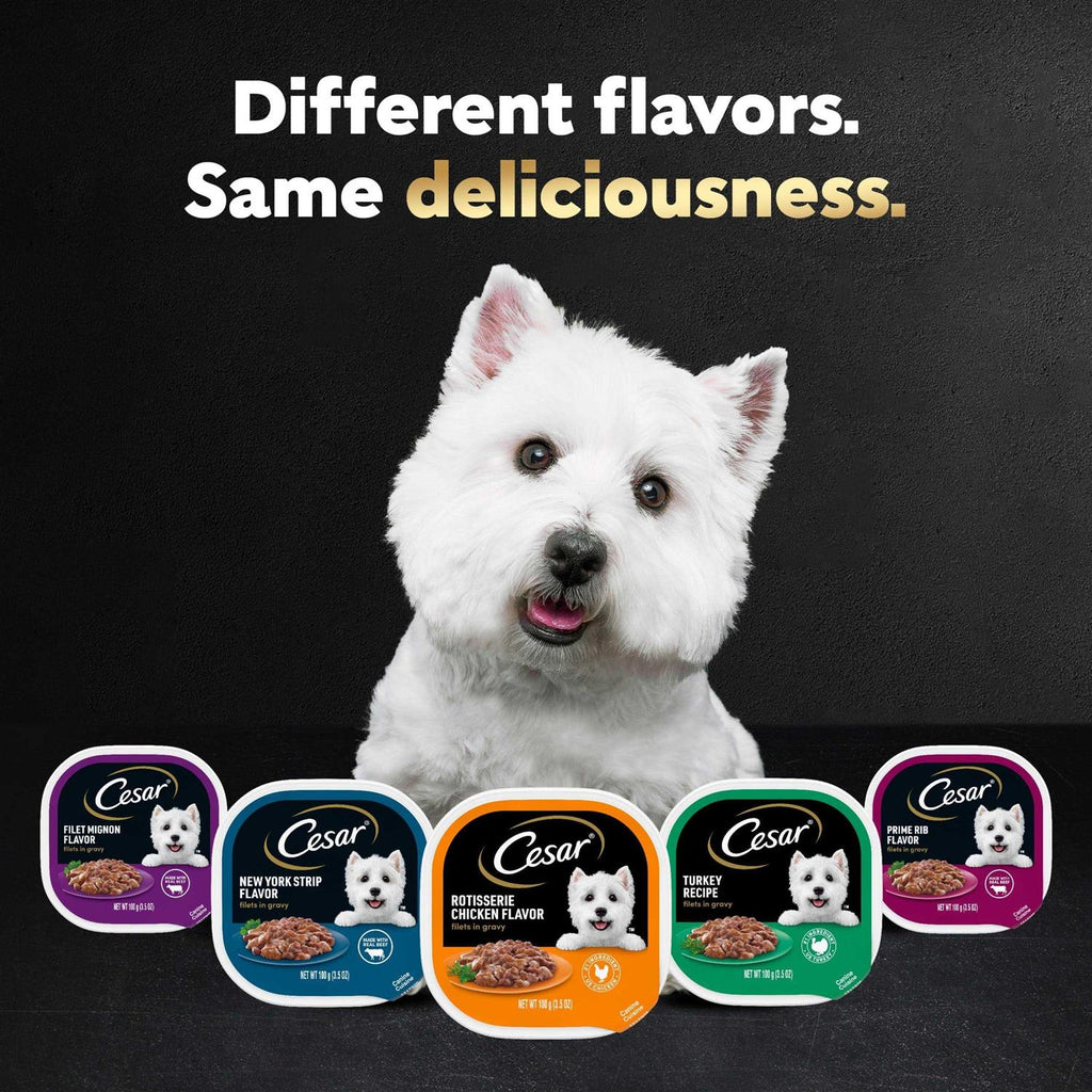 Wet Dog Food Variety Pack C2975