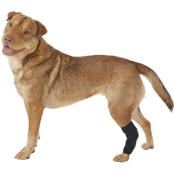 Dog Rear Leg Hock Joint Wrap Brace X879216