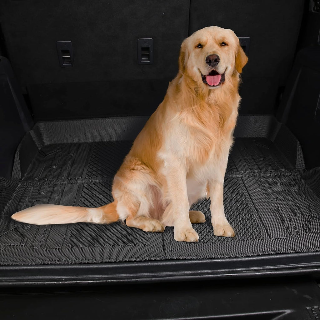 Cargo Liner Cargo Mat Pack of 2 C36994