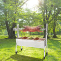 50W 90lbs Rotisserie BBQ Grill S85603