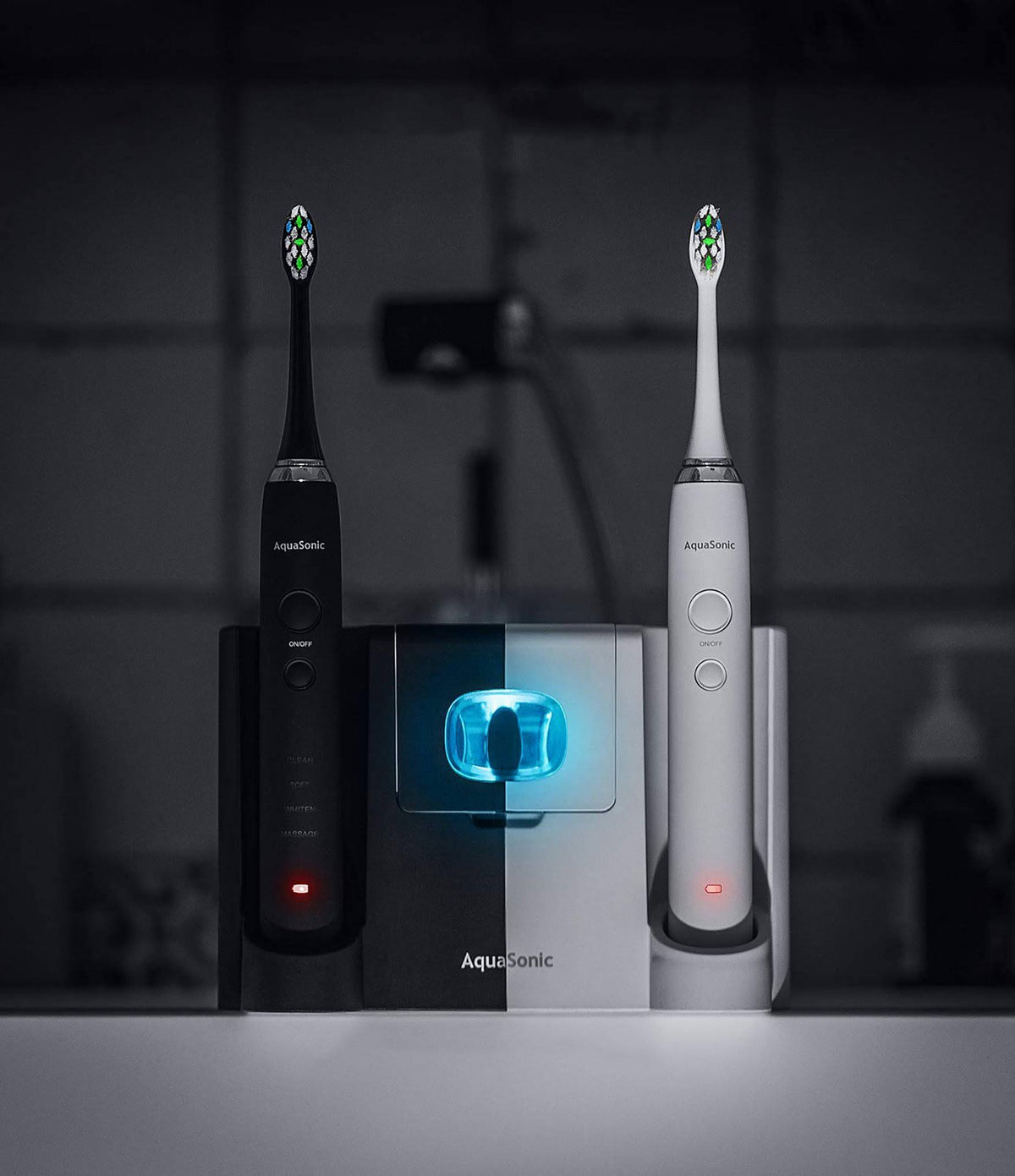 Dual Handle Electric Toothbrushes V5698