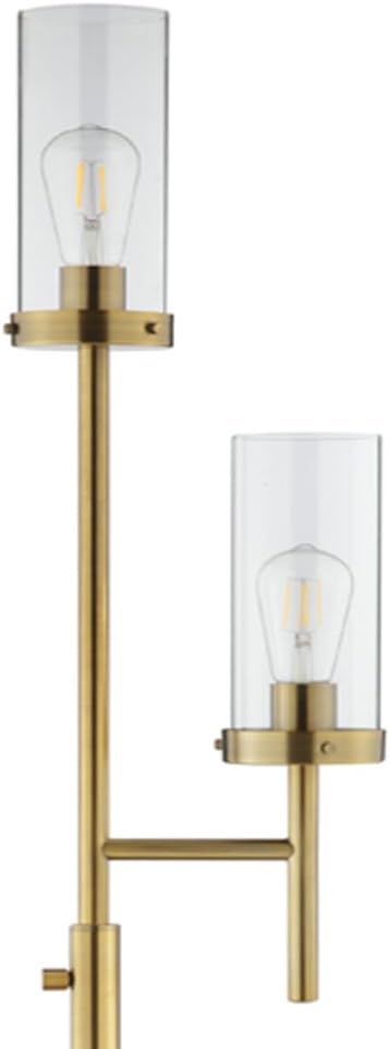 Bronze 2-Light Floor Lamp with Clear Glass Shades K4086