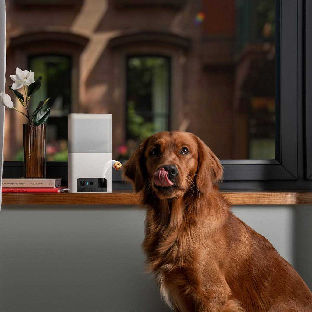 Interactive WiFi Pet Monitoring Camera with Treat Dispenser D781