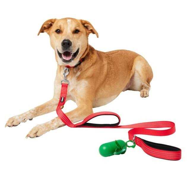 Traffic Leash with Dual Padded Handles & Poop Bag Dispenser M547143